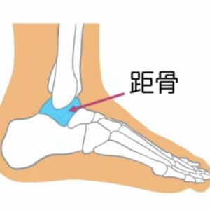 【足の不調の原因はここ？】距骨調整で体のバランスを整える